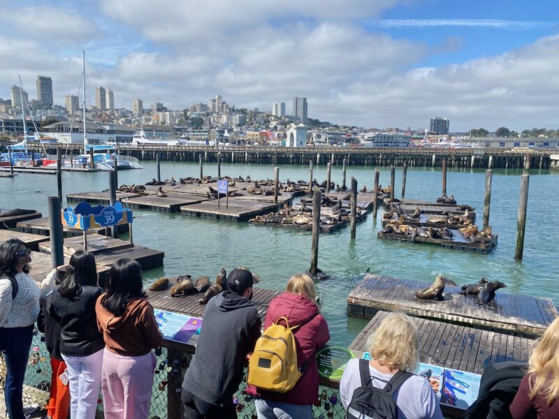 San Francisco, USA. Image © PlanetSKI